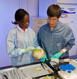 lab-workers-inspecting-item