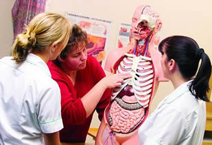 anatomy-instruction-in-class-44002