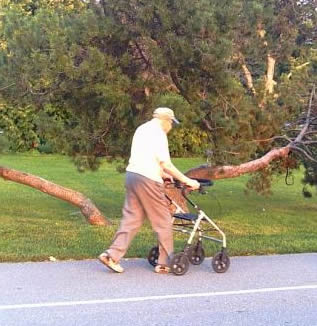 elderly-man-walker