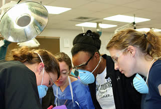 health-care-students-in-lab-882233