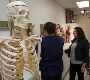 college-medical-display